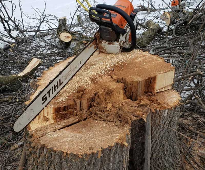 Service de déchiquetage de bois et de branches d'arbres à Montréal, Laval, Laurentides, Lanaudière, Rive-Sud et Rive-Nord de Montréal | Émondeur Montréal