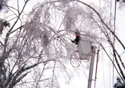 Service d'abattage arbre et émondage arbre a Montreal, Laval et sur la rive-Sud / Emondeur Montréal