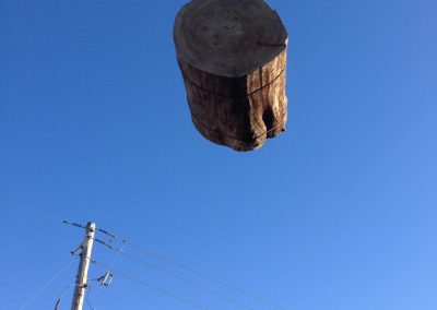 Service d'abattage arbre et émondage arbre a Montreal, Laval et sur la rive-Sud / Emondeur Montréal